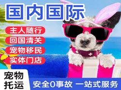 深圳宝安机场快运国际宠物托运 【国